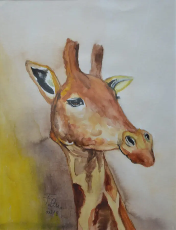 Giraffe