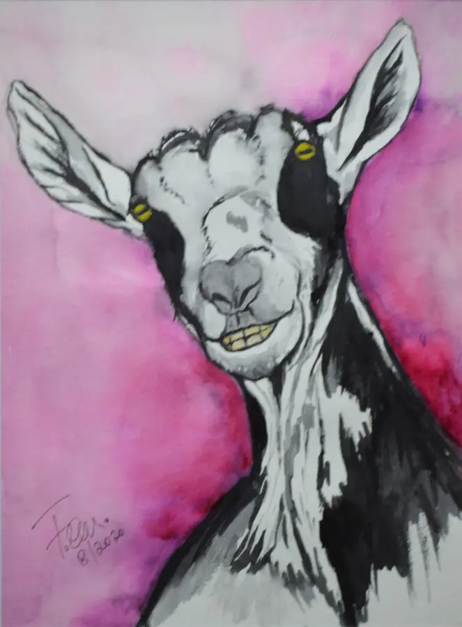 Angry Goat