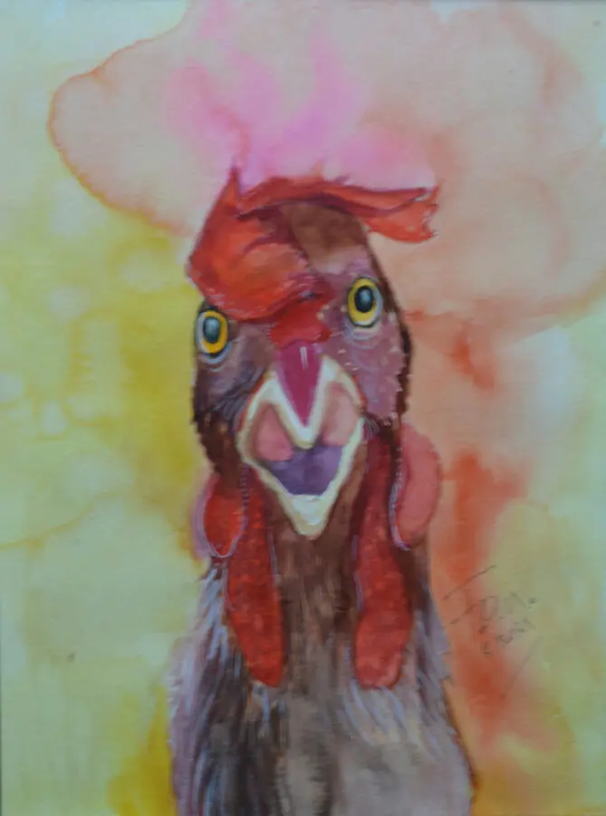 Crazy Chicken