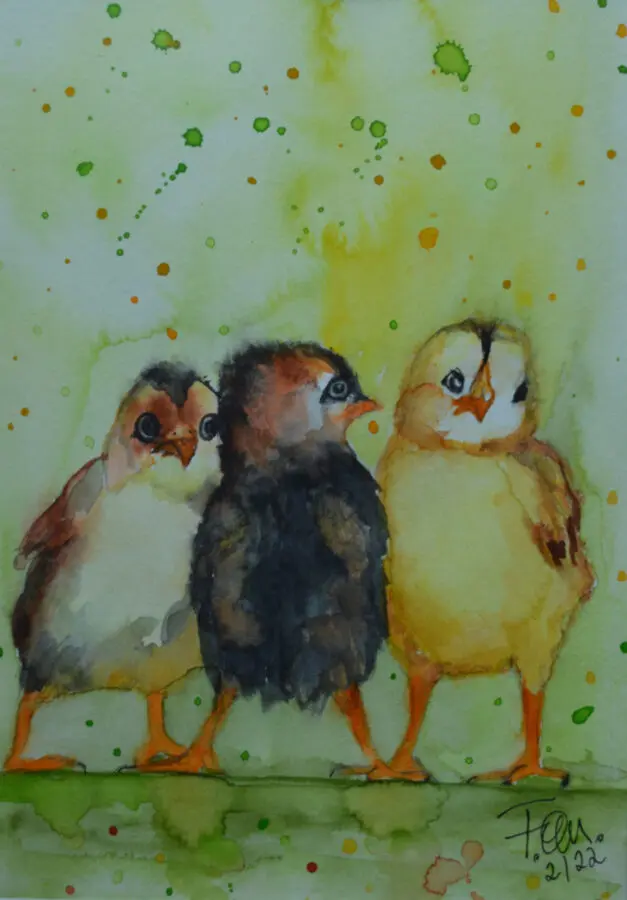 Little Chicken