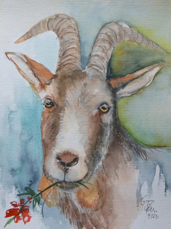 Happy Goat 1