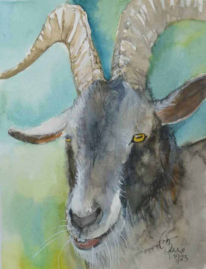 Happy Goat 2
