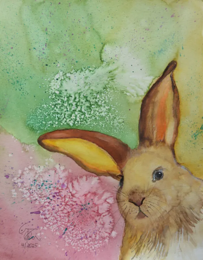 Bunny