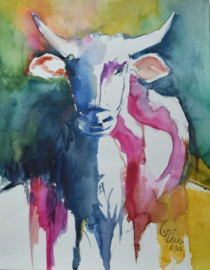 Cow