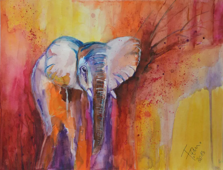 Elephant