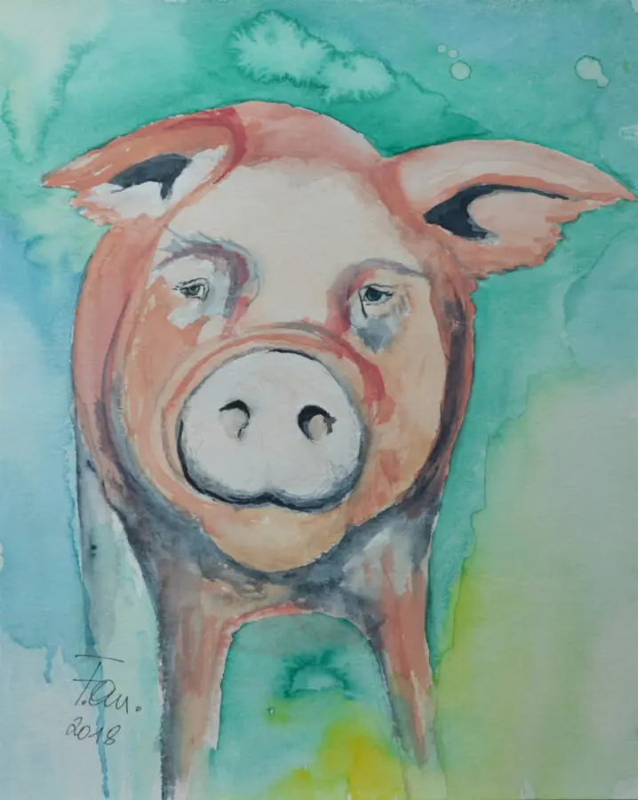 Piggy