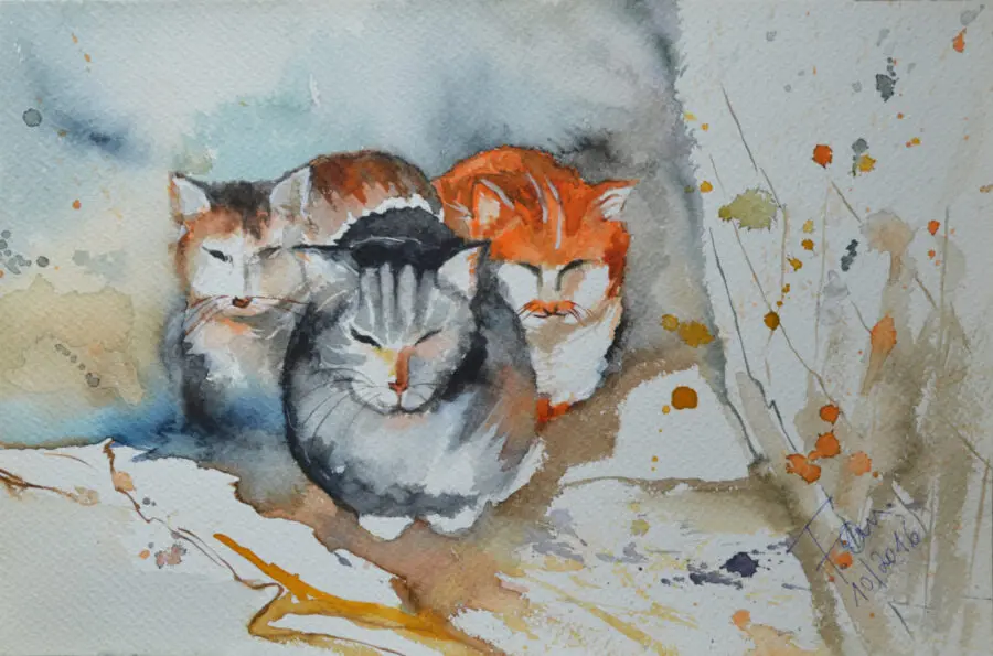 3 Cats