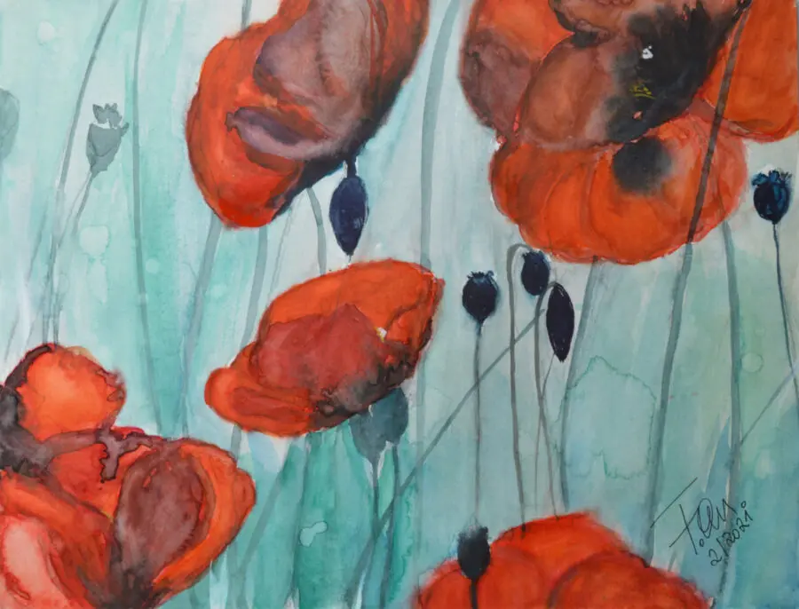 Mohn 2